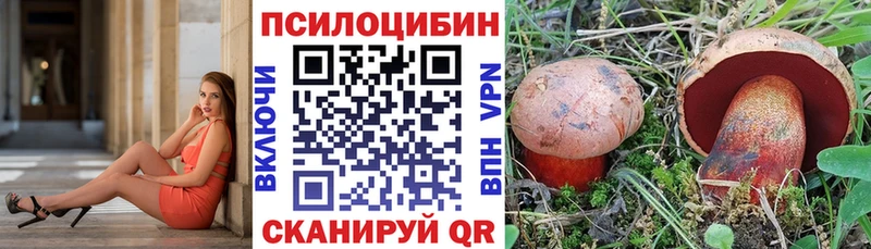 Псилоцибиновые грибы GOLDEN TEACHER  Лениногорск 
